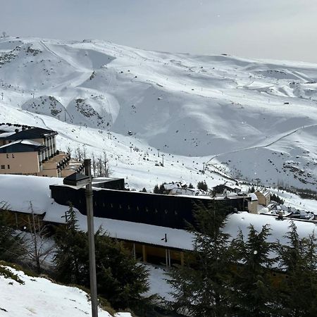 Appartement Biznaga Nevada à Grenade Extérieur photo