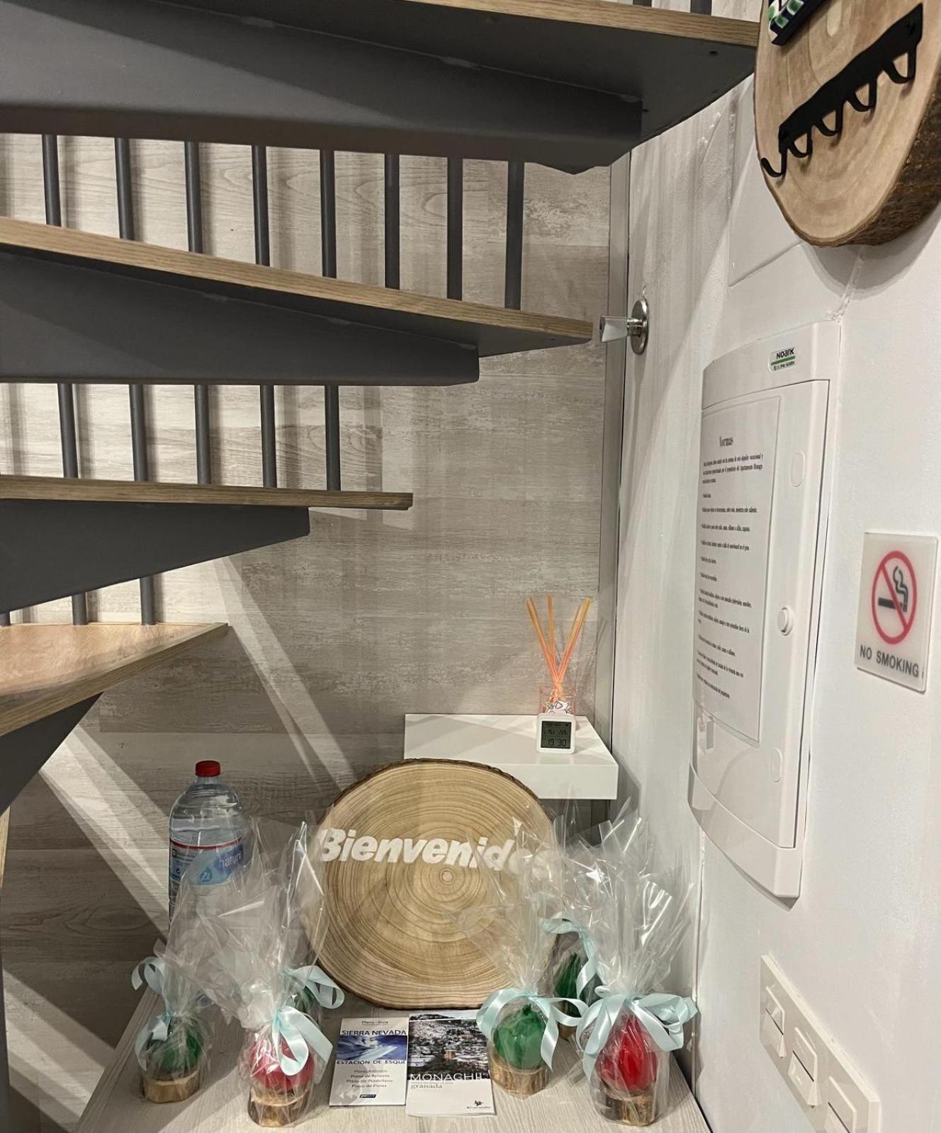 Appartement Biznaga Nevada à Grenade Extérieur photo