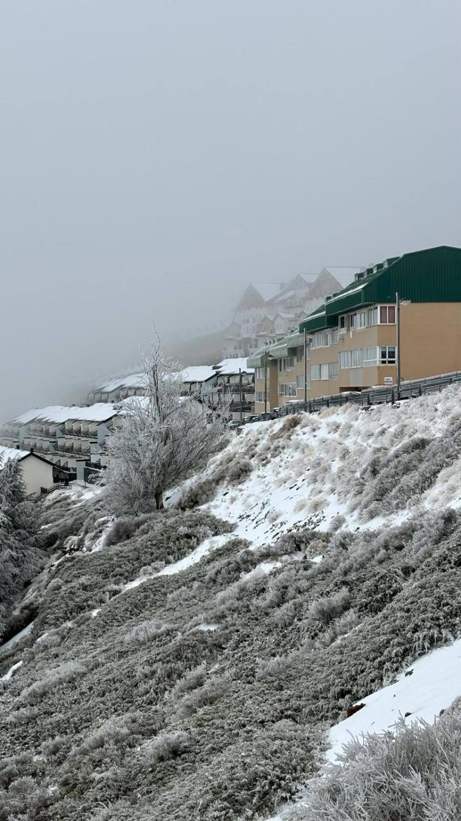 Appartement Biznaga Nevada à Grenade Extérieur photo