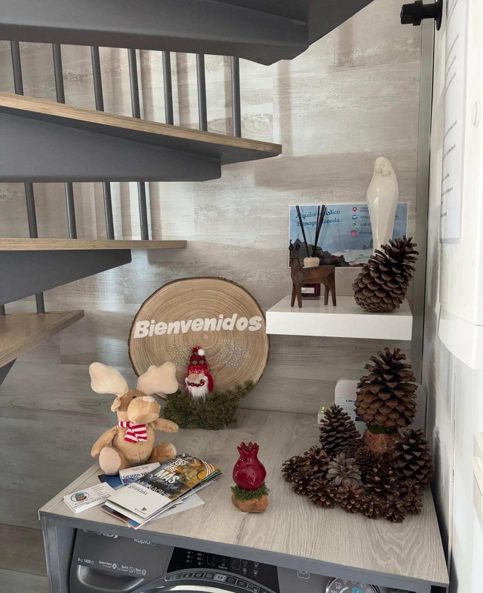 Appartement Biznaga Nevada à Grenade Extérieur photo